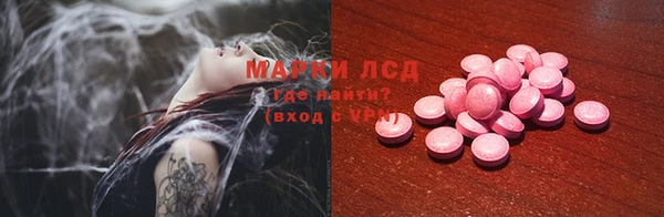 ECSTASY Бородино