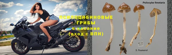 ECSTASY Бородино